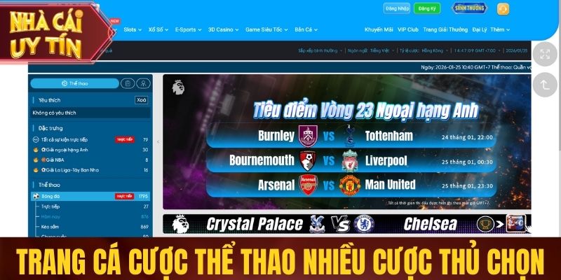 Trang cá cược thể thao được nhiều cược thủ lựa chọn